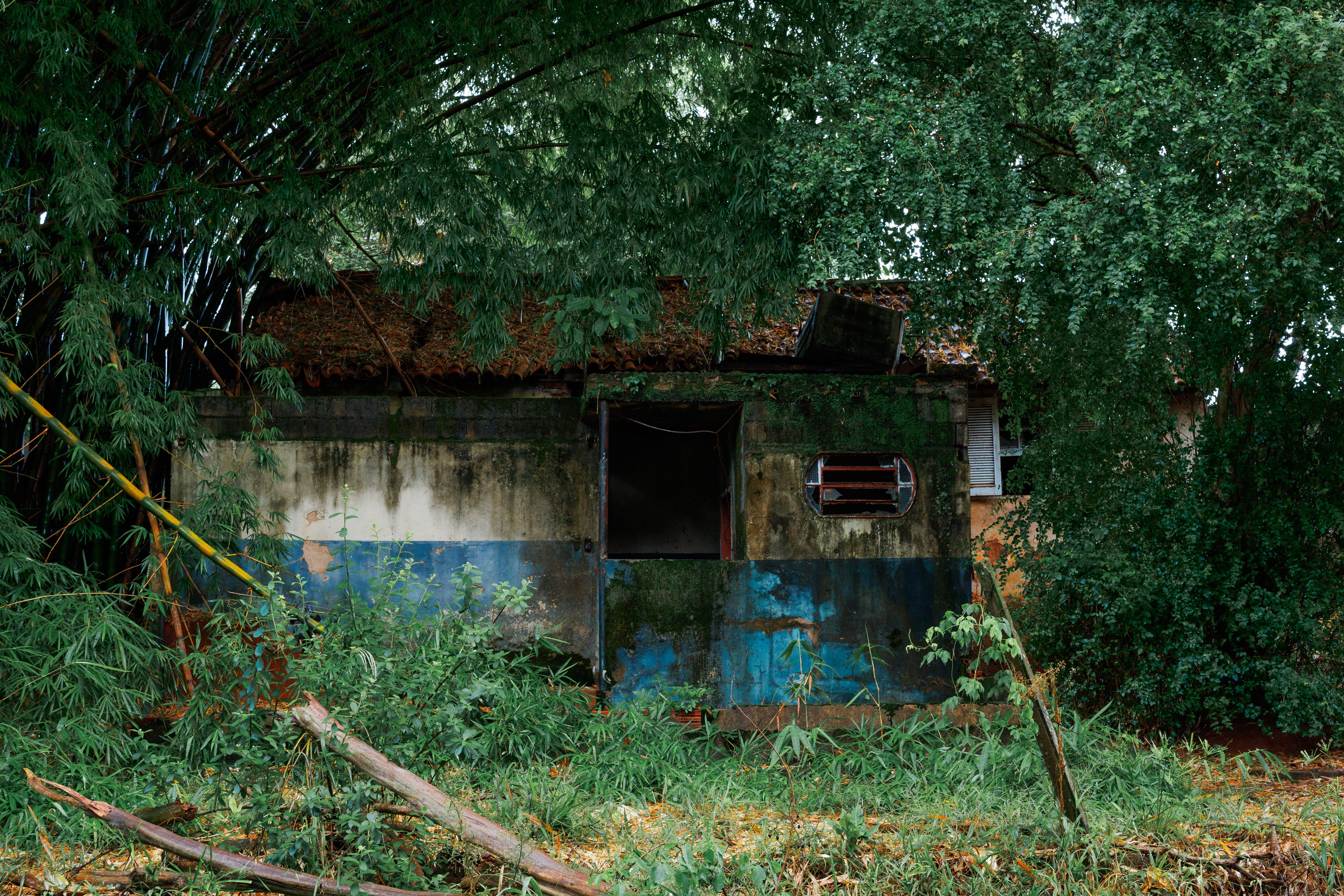O efeito do tempo em uma casa pequena e bonita.