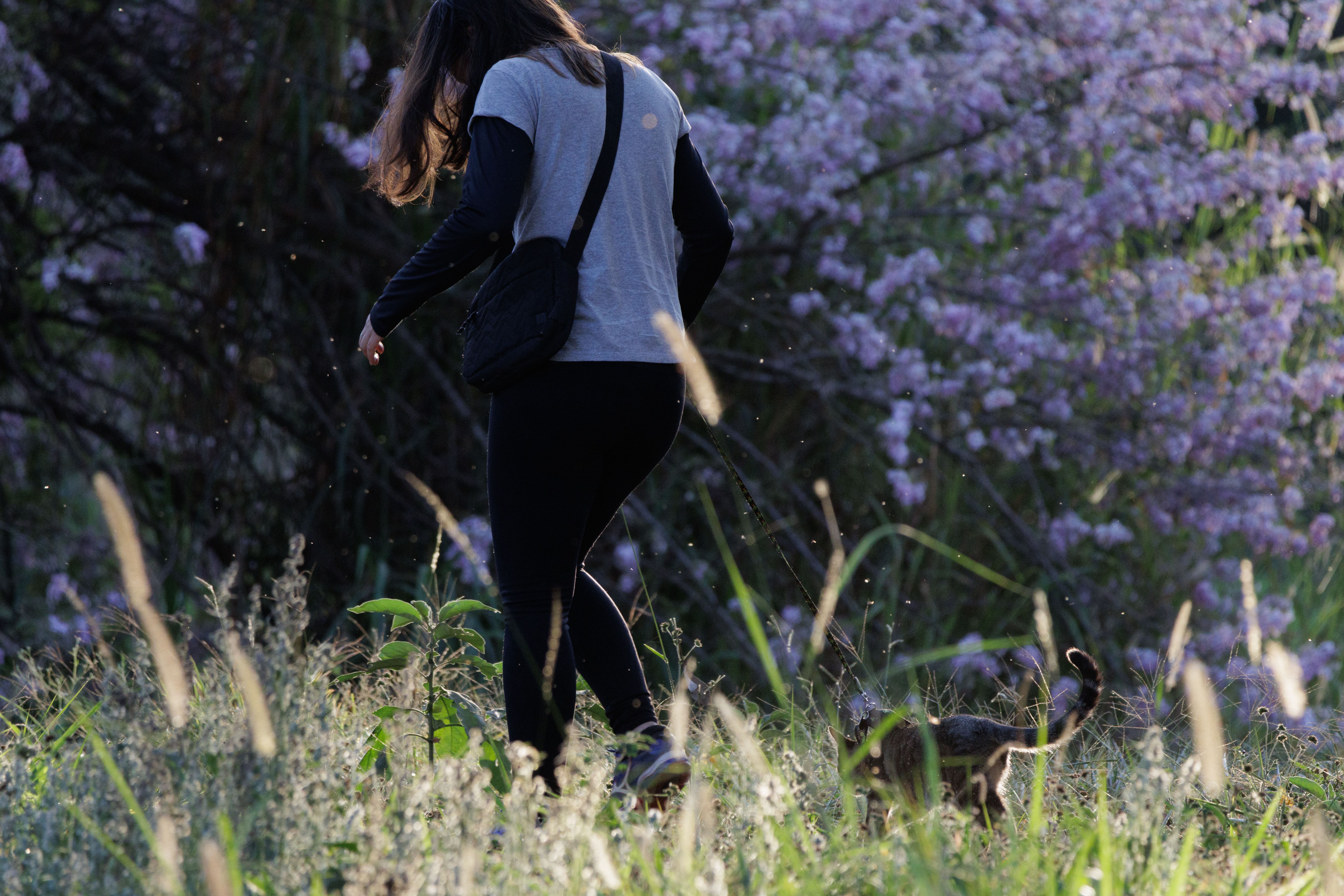 O Petit ama passear e correr no gramado.